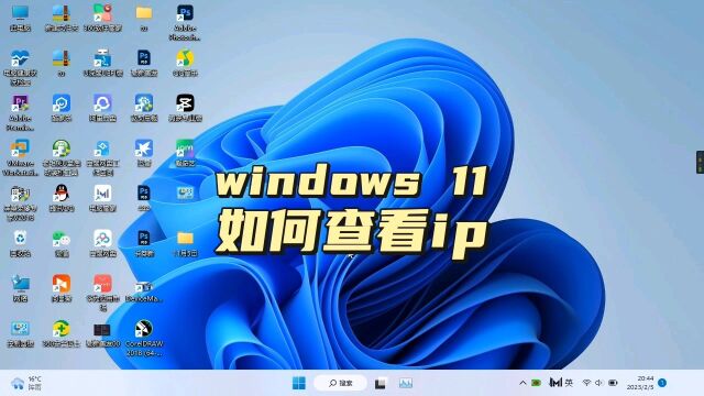 windows11如何查看ip地址