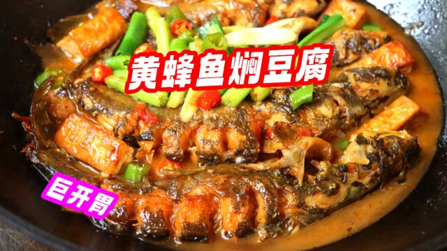 米饭杀手菜“黄蜂鱼焖豆腐”!鲜香嫩滑巨开胃,配上米饭嘎嘎香