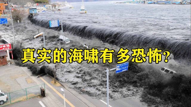 日本311的超级大地震,非常罕见的真实视频,海啸瞬间淹没城市