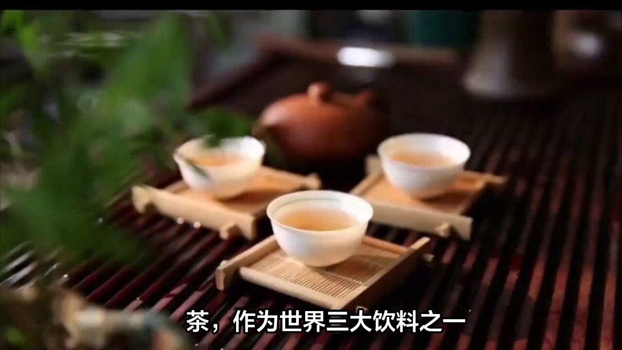 全国哪里的茶叶最好喝?经评选,这10款茶名列前茅,有你家乡的吗