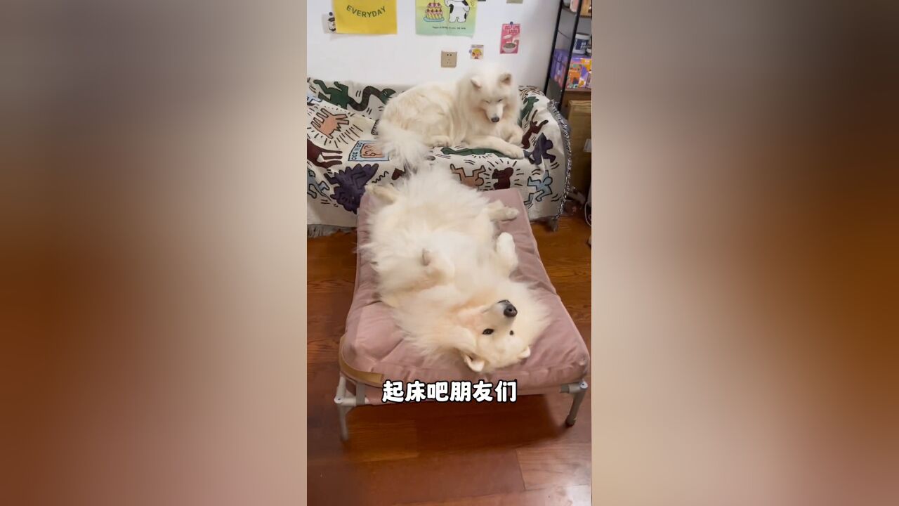 说的对