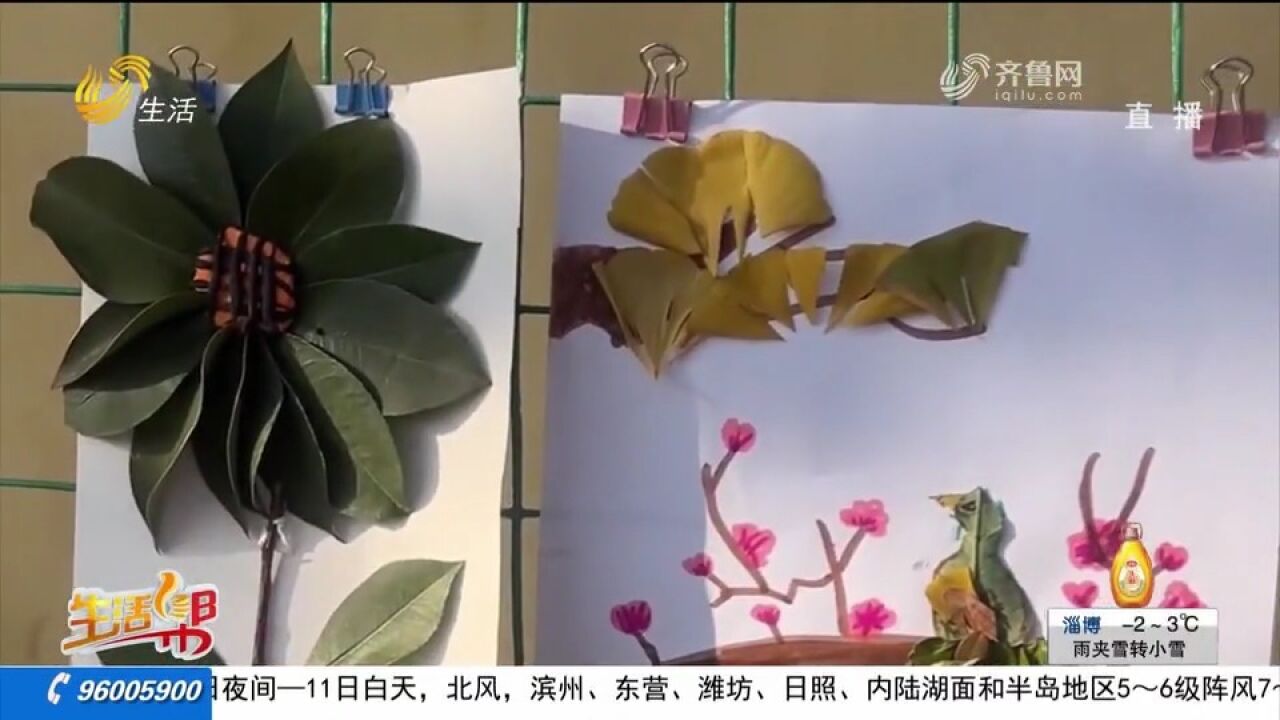 滕州小学举办树叶画展览,学生们利用落叶进行创作,尽显植物魅力