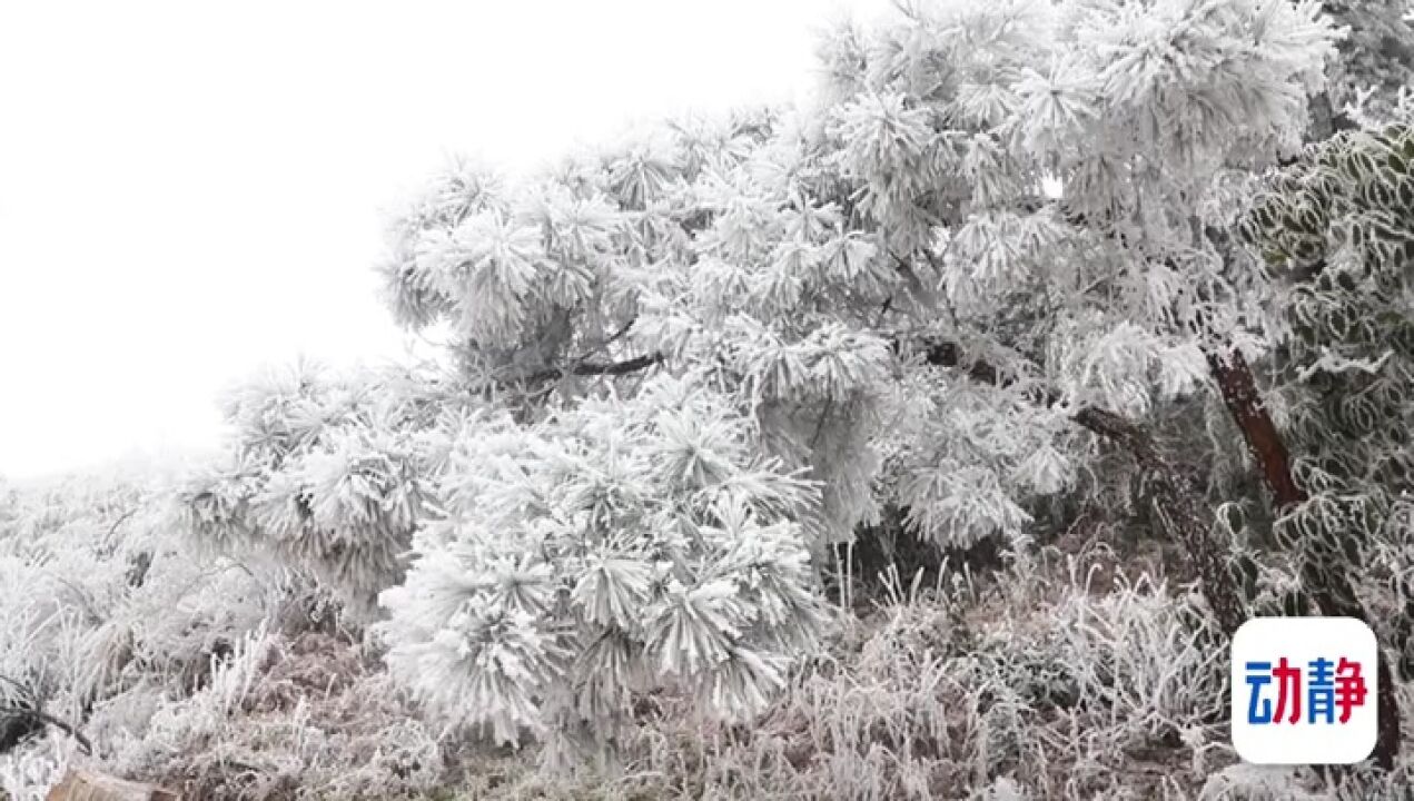 丹寨县龙泉山,银装素裹如梦似幻