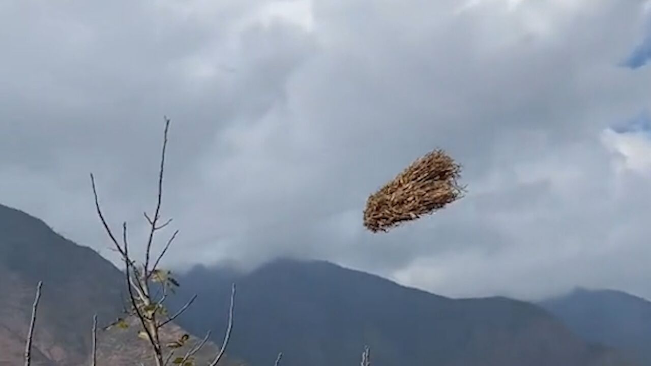 起猛了!竟看到玉米秆在天上＂飞＂ 网友:哈利波特的扫帚照进现实?