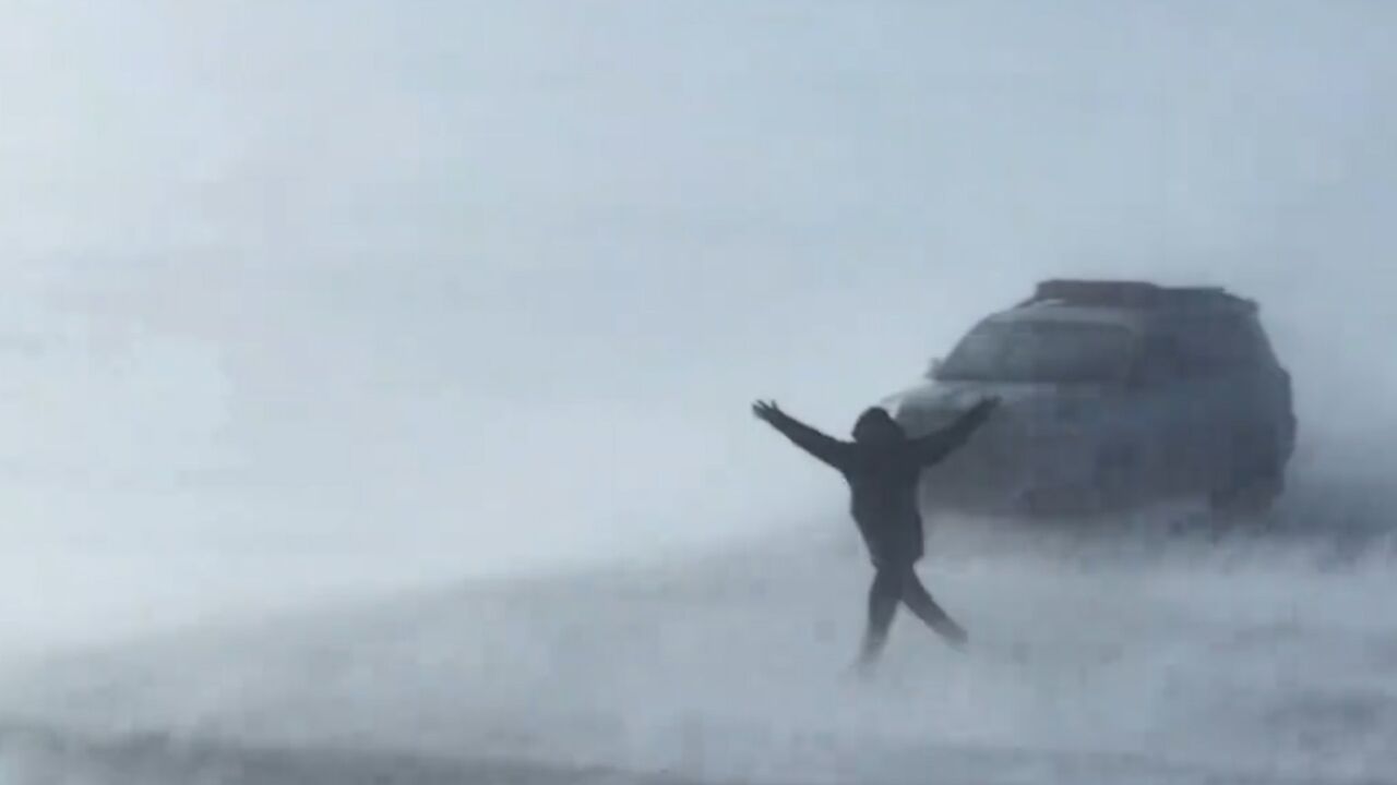 网友在新疆遇风吹雪,雪花漫天飞舞 ＂世界这本书,我又多看了一页”