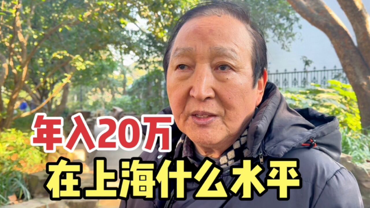 年收入20万在上海什么水平?上海爷叔说出实际情况,听听工资现状