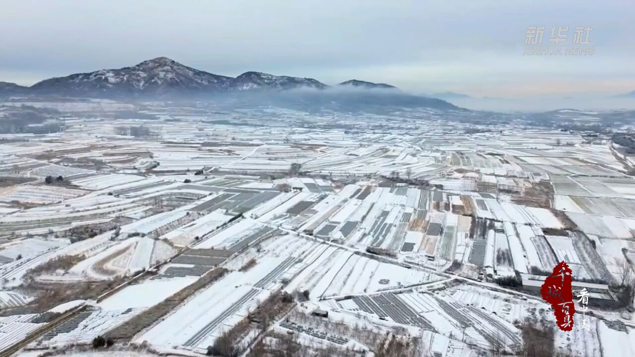 千城百县看中国丨日照东港:雪后的乡村