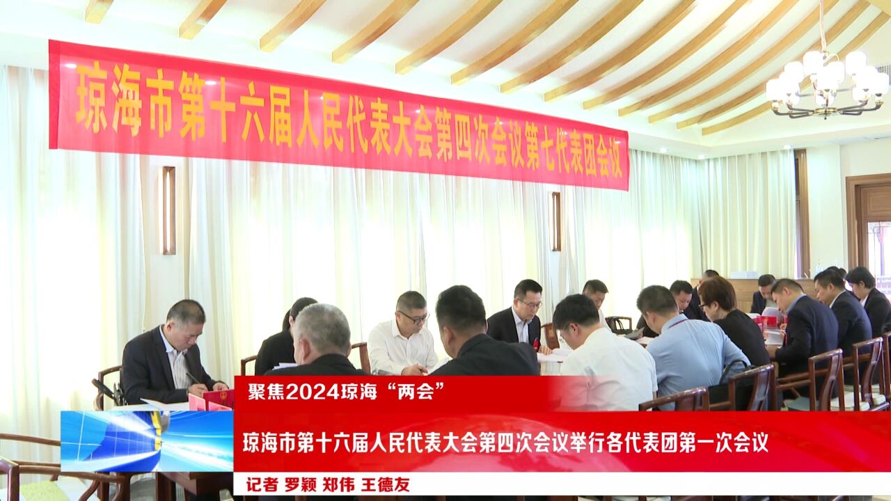 聚焦2024年琼海市两会丨琼海市第十六届人民代表大会第四次会议举行各代表团第一次会议