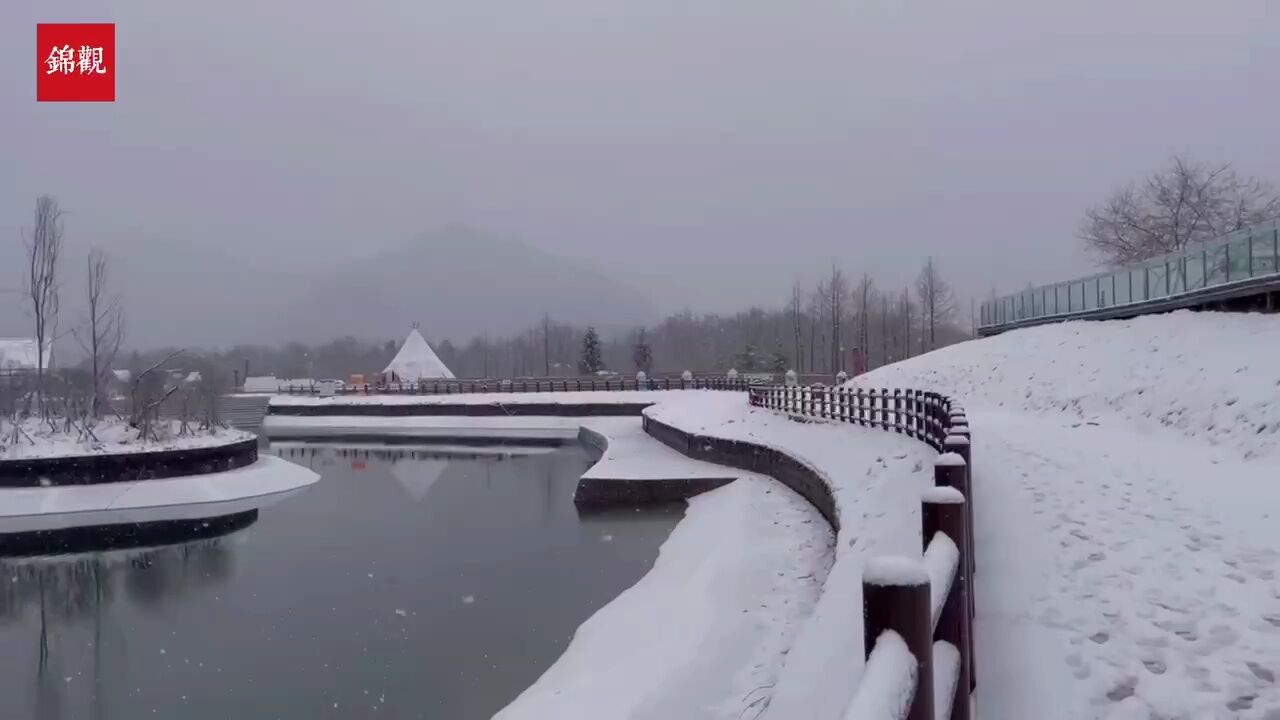 龙年初雪!来西岭雪山看别样雪景