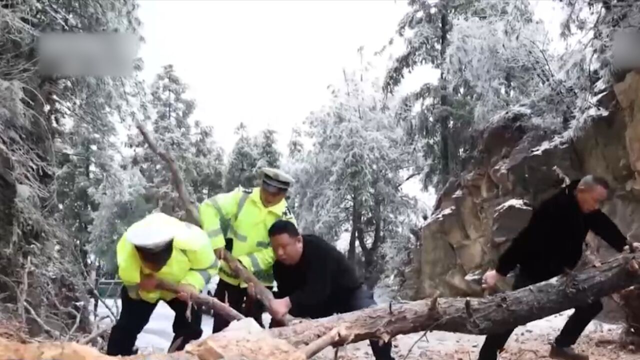 安徽歙县:落石树木阻断公路,警民合力恢复交通