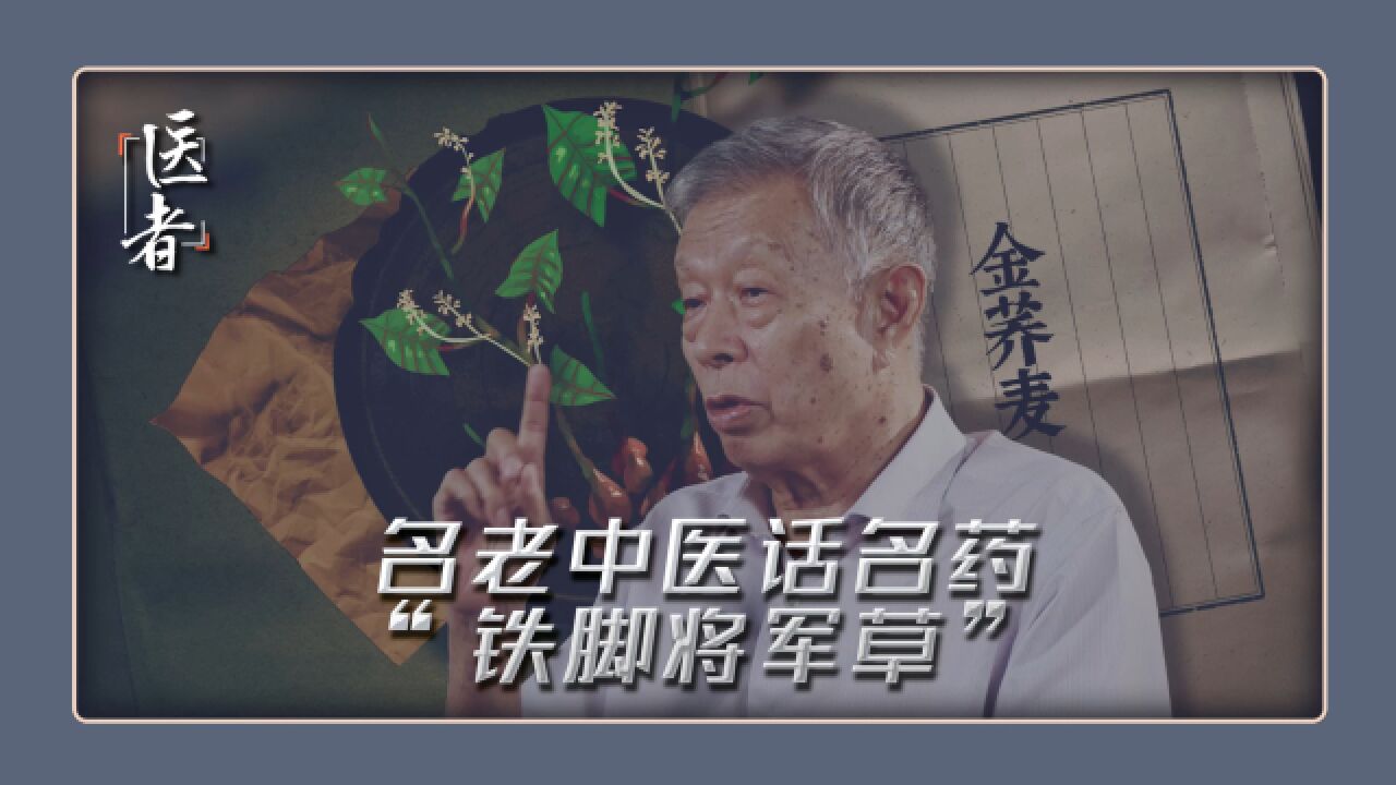 名老中医话名药 “铁脚将军草”