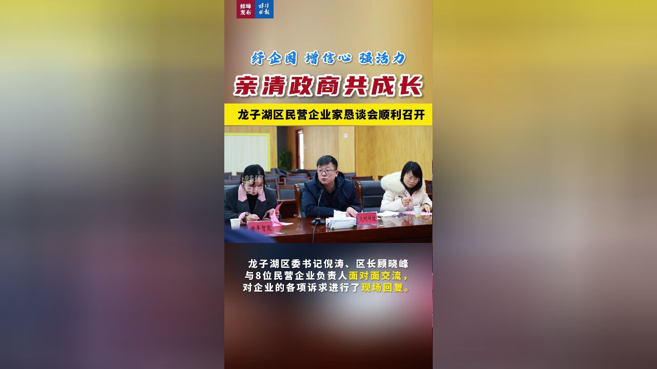 纾企困 增信心 强活力,亲清政商共成长,龙子湖区民营企业家恳谈会顺利召开