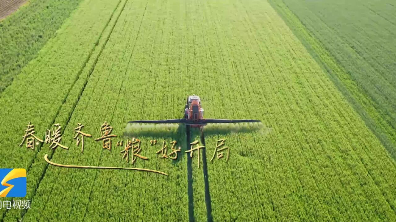 春暖齐鲁 “粮”好开局 “齐鲁粮油”中国行开新章