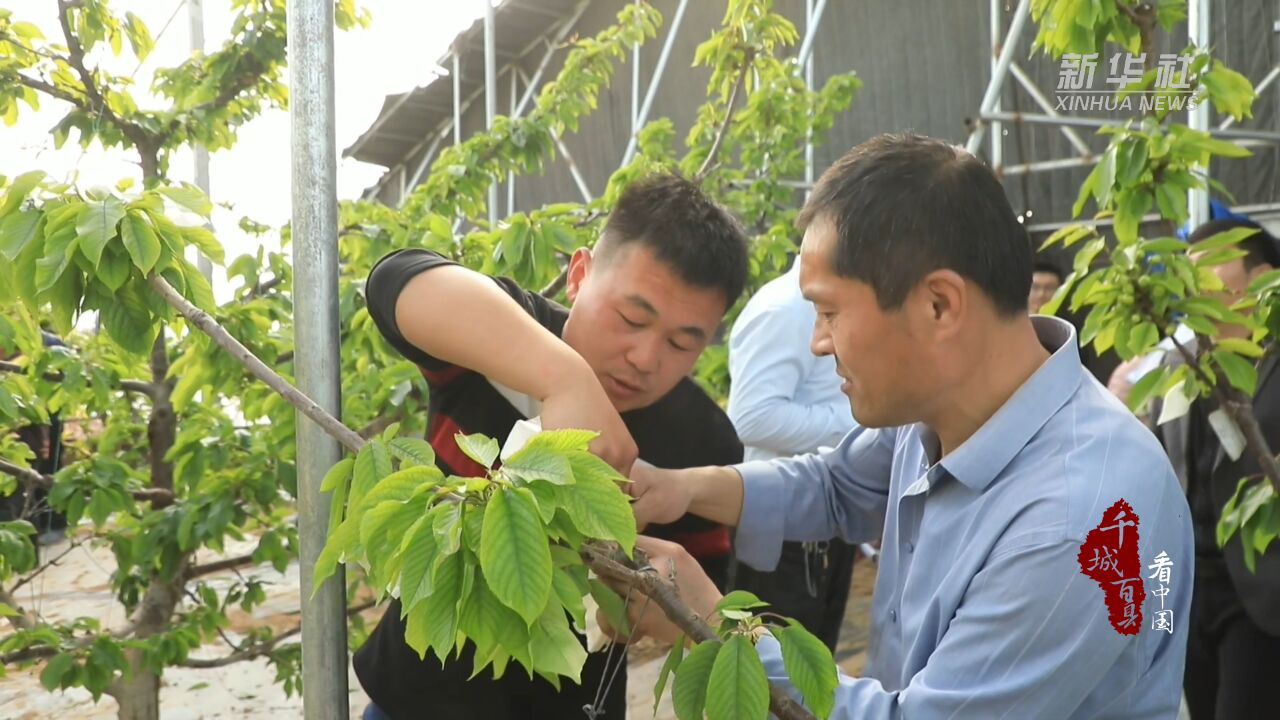 千城百县看中国|山东冠县:“智汇春耕”助力农业增产增收