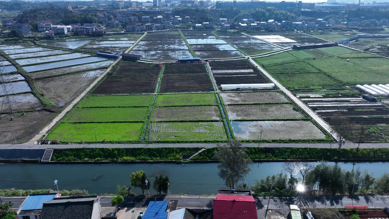 视频 | 湖南娄底:漠漠水田飞白鹭