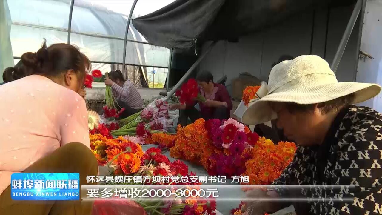 【人勤春来早】怀远县 花卉产业 添颜值增效益