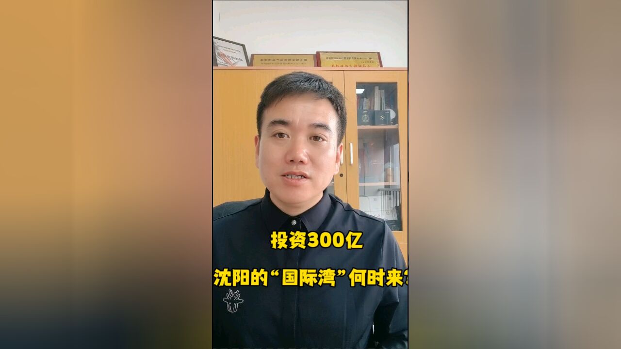 投资300亿!沈阳的“国际湾”何时来?#沈阳#王家湾