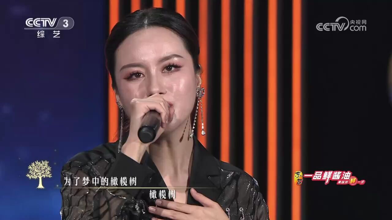 王紫凝演唱齐豫经典歌曲《橄榄树》,动人旋律,歌声优美动听