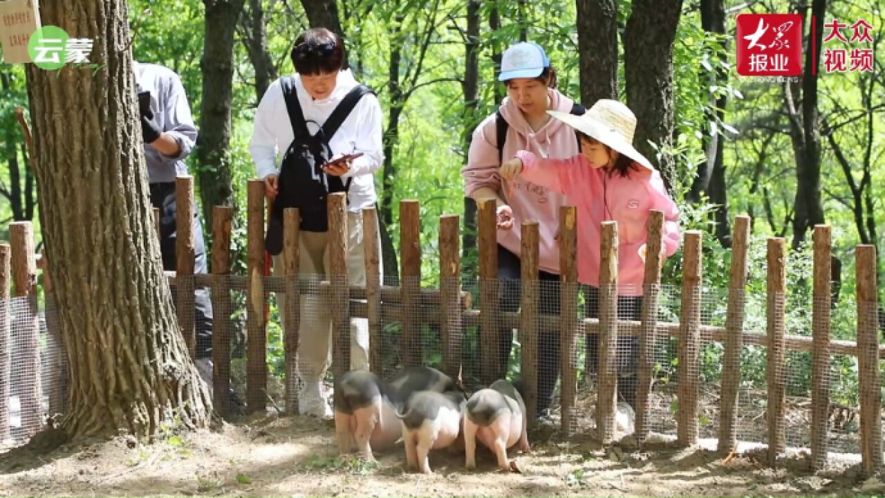 畅游齐鲁 乐享五一|书法、萌宠、露营,蒙山邀您畅享音乐文旅大餐