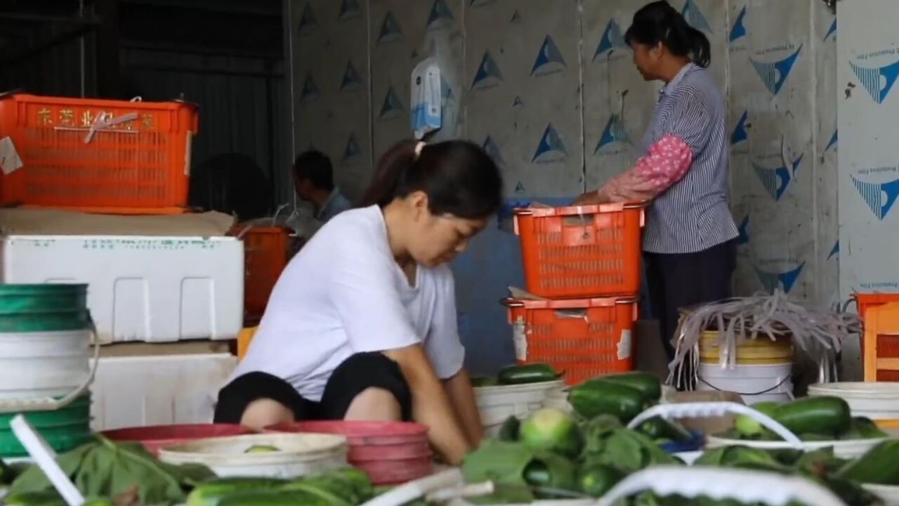 广西贺州预制菜叫响粤港澳大湾区