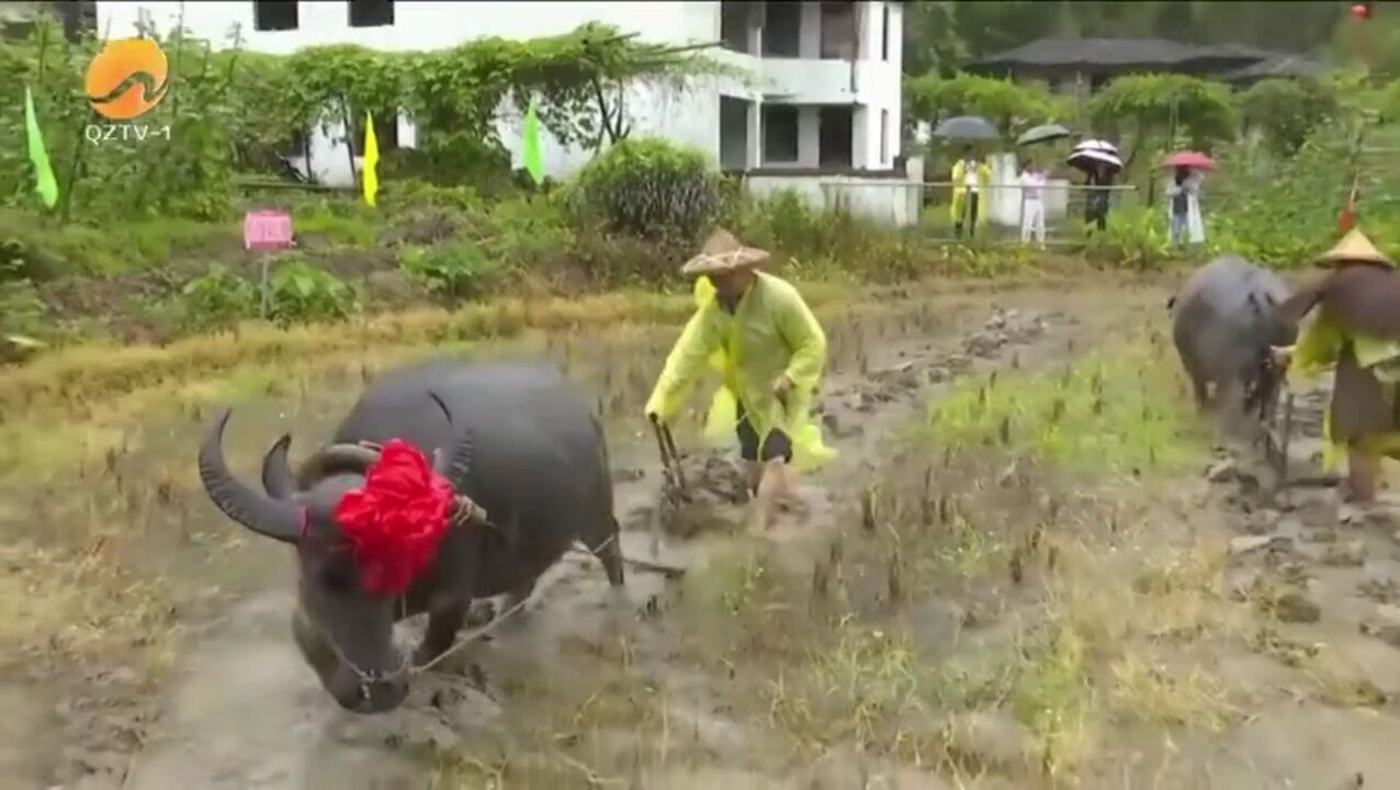 德化:李溪农耕文化 吸引八方宾朋