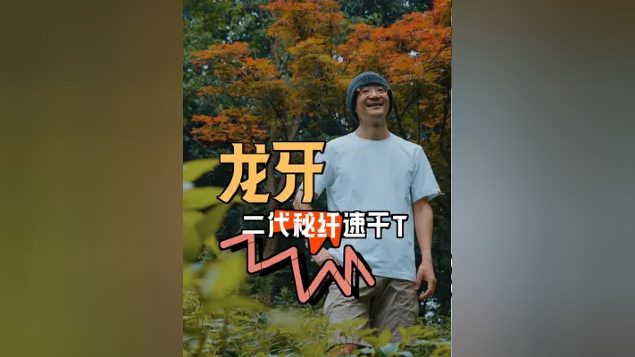 白T造成这样,还能要么