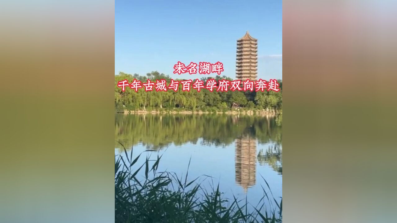 “泉在济南•以文聚才〞文化产业周开幕式暨“人才话未来”宣介会在北京大学举行