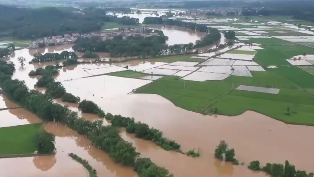 江西乐平:降雨致民房被淹,当地紧急开展救助工作