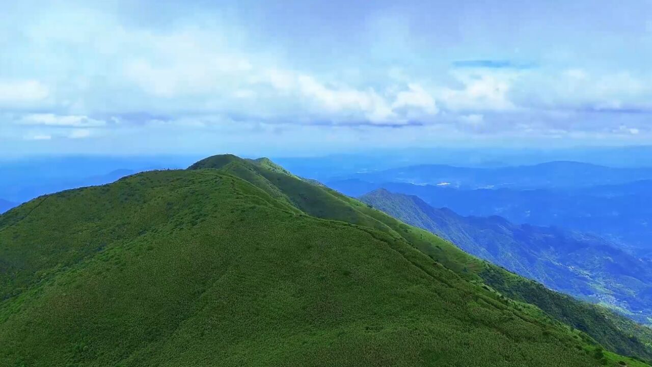 视频丨湖南之巅——酃峰夏日的秘境美景