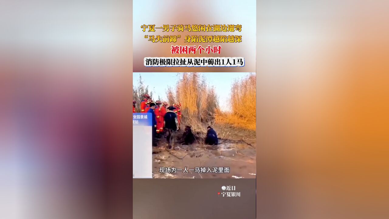 男子骑马身陷泥潭越陷越深,消防极限拉扯从泥中薅出1人1马