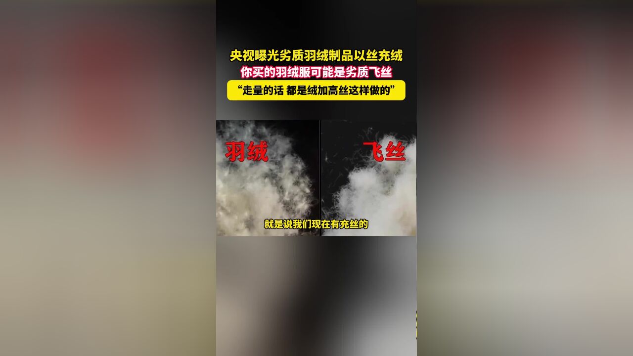 央视曝光劣质羽绒制品以丝充绒,你买的羽绒服可能是劣质飞丝,“走量的话,都是绒加高丝这样做的”.