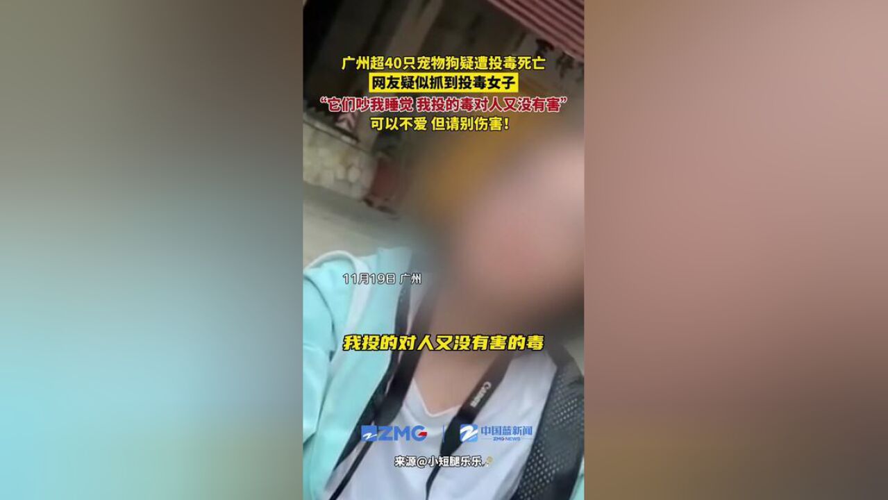 广州超40只宠物狗疑遭投毒死亡,网友疑似抓到投毒女子,狡辩称“它们吵我睡觉,我投的毒对人又没有害”