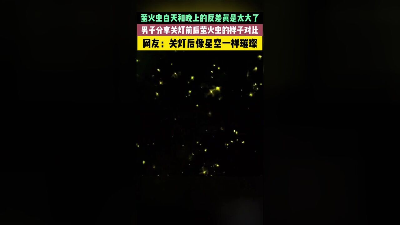 男子分享关灯前后萤火虫的样子对比,关灯后像星空一样璀璨