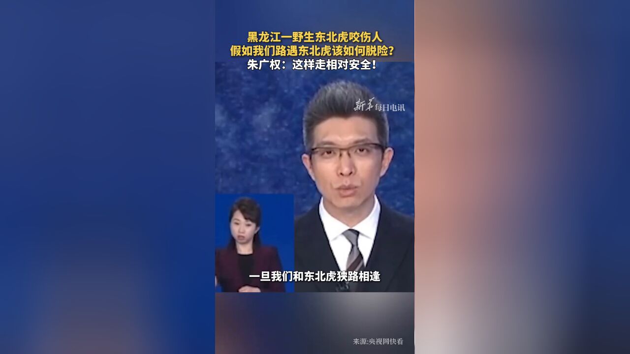 假如我们路遇东北虎该如何脱险?朱广权:这样走相对安全!