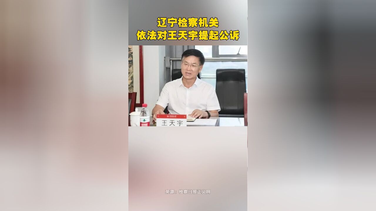 辽宁检察机关依法对王天宇提起公诉