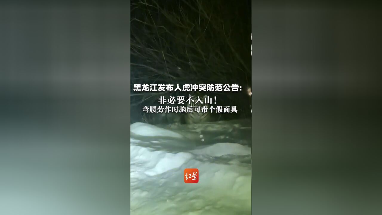 黑龙江发布人虎冲突防范公告:非必要不入山!弯腰劳作时脑后可带个假面具