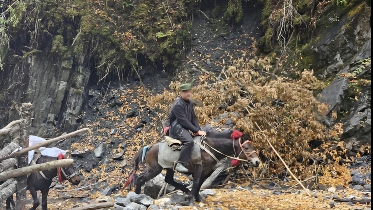 女驴友称徒步时遭65岁马夫猥亵,涉事马夫儿子回应