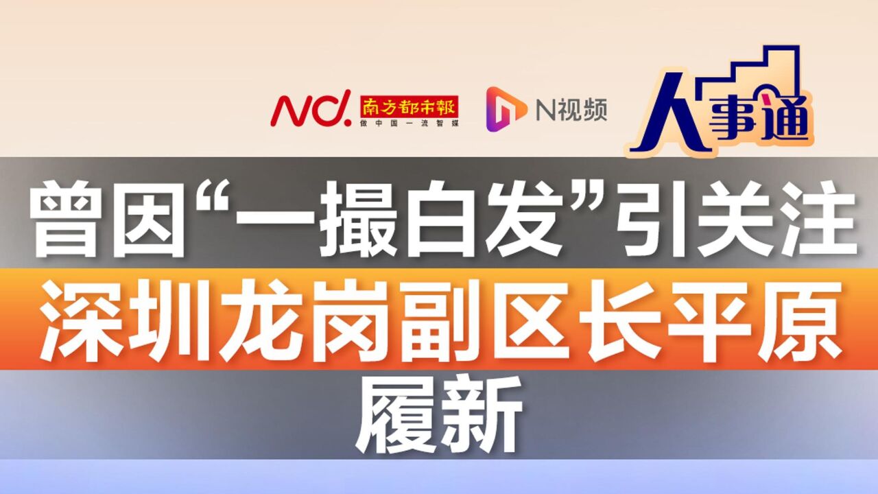 曾因“一撮白发”引关注!深圳龙岗副区长平原履新