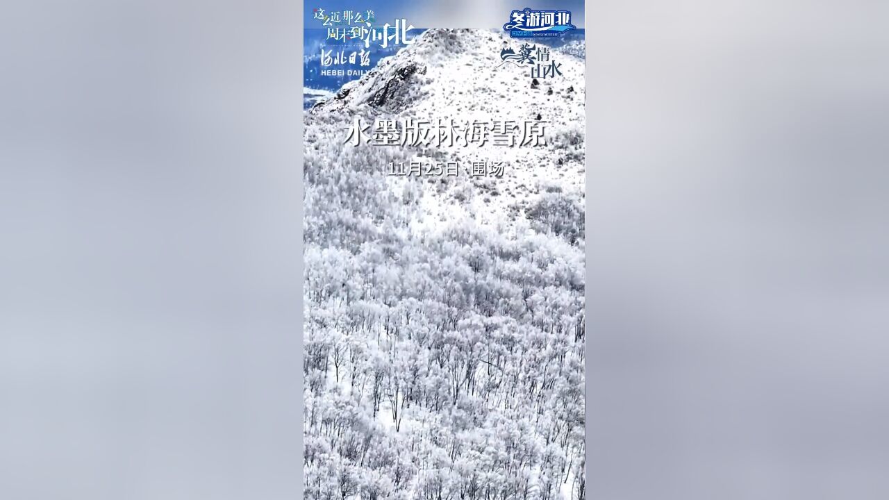 一下雪,坝上就成了水墨版林海雪原#这么近那么美周末到河北 #冬游河北 #我为河北文旅举大旗 #冬季到河北来滑雪