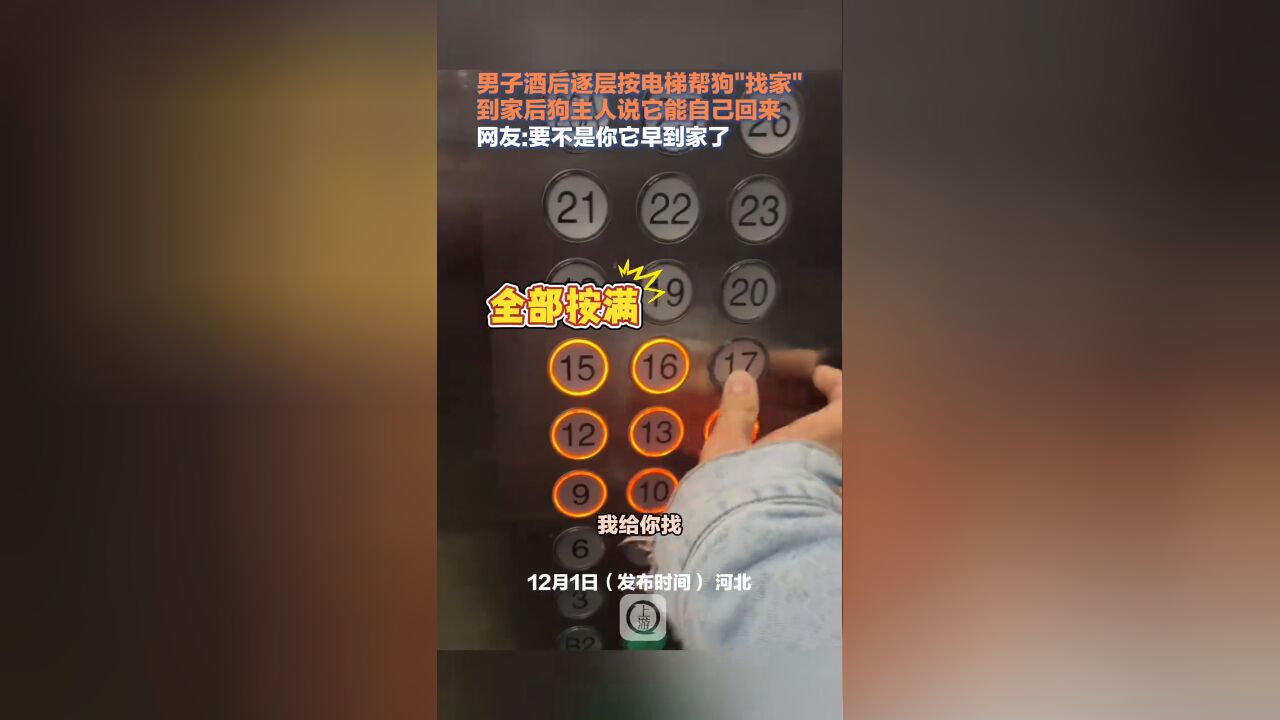 男子酒后逐层按电梯帮狗“找家”,到家后狗主人说它能自己回来