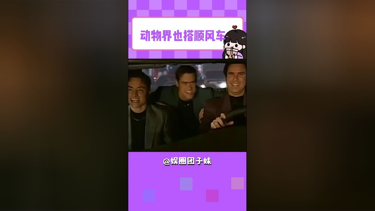 动物界也搭顺风车