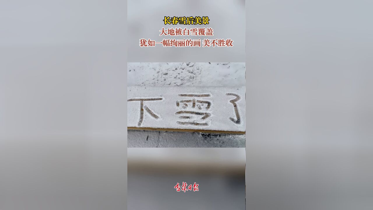 长春雪后美景大地被白雪覆盖,犹如一幅绚丽的画,美不胜收