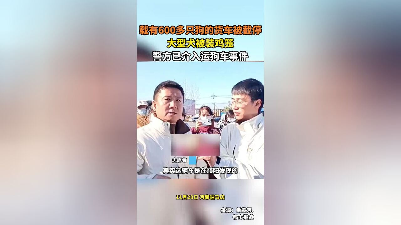 载有接近600多只狗的货车被截停,大型犬被装鸡笼,警方已介入运狗车事件