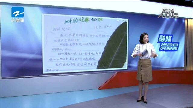 一年级小学生的作业震惊网友 观察树叶写12页报告