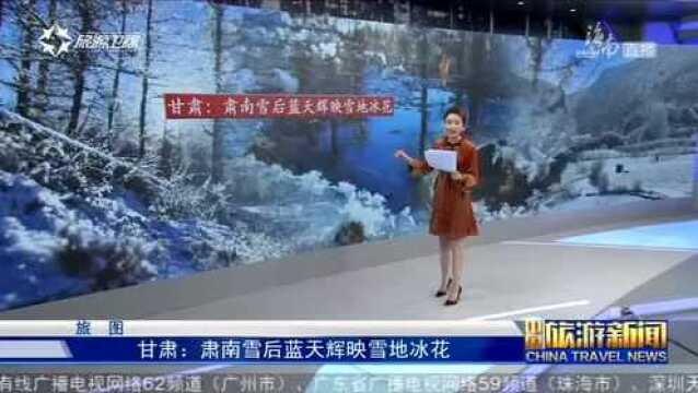 甘肃 肃南雪后蓝天辉映雪地冰花