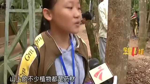 推进自然环境教育 学生玩乐中学习