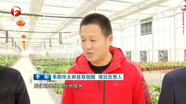 太和县:科技兴农唱“主角”