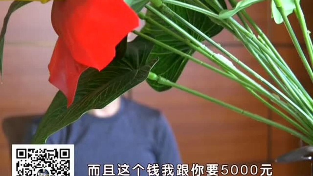 观众热线:遇到了职业举报人