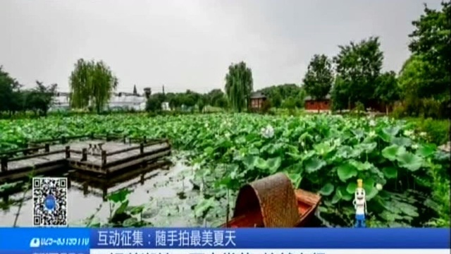 无锡鹅湖镇:雨中赏花 怡然自得