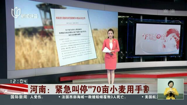 河南:紧急叫停“70亩小麦用手割”